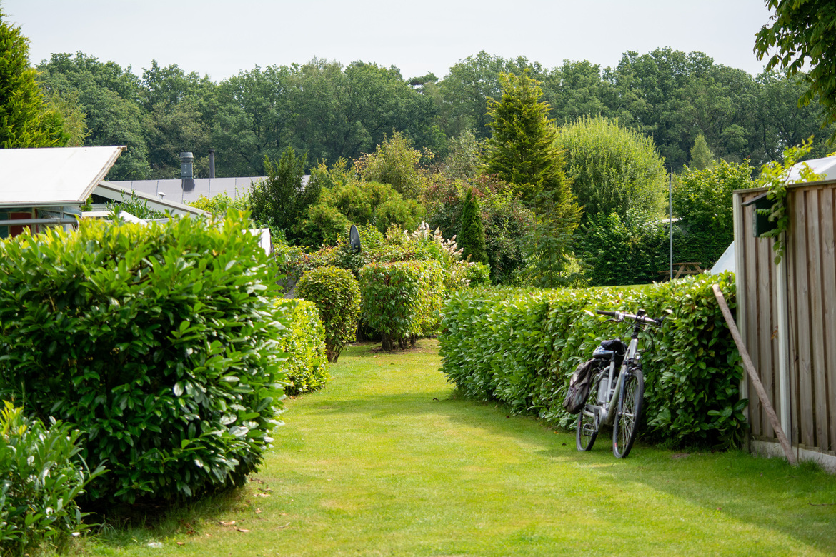 Naturistencamping het Slagersmaat — Photo 1 of 1